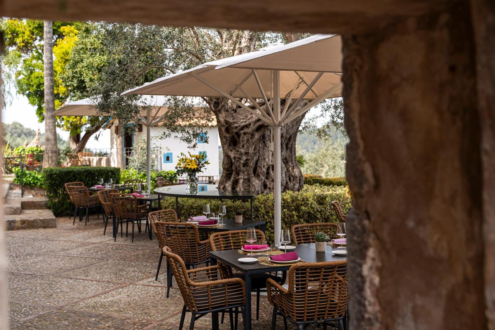 Ca'S Xorc Luxury Retreat - Adults Only Hotel Sóller Exterior foto